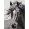 P&P Elegant Canvas Print - Stunning Wall Art for Living Room, Bedroom & Office Decor 70x100cm