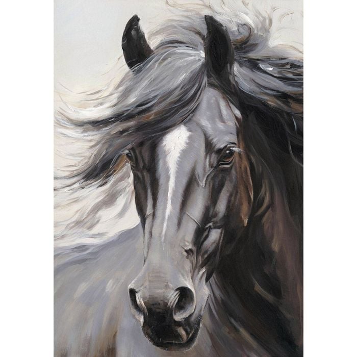 P&P Elegant Canvas Print - Stunning Wall Art for Living Room, Bedroom & Office Decor 70x100cm