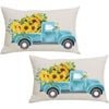 Catzon 2 Pcs Summer Lumbar Pillow Covers Linen Pillowcase for Home Decor-Set 33