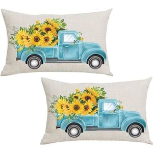 Catzon 2 Pcs Summer Lumbar Pillow Covers Linen Pillowcase for Home Decor-Set 33