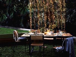 DIY Advice Image - Transform your outdoor spaces with string lights. G Drive blob storage upload.