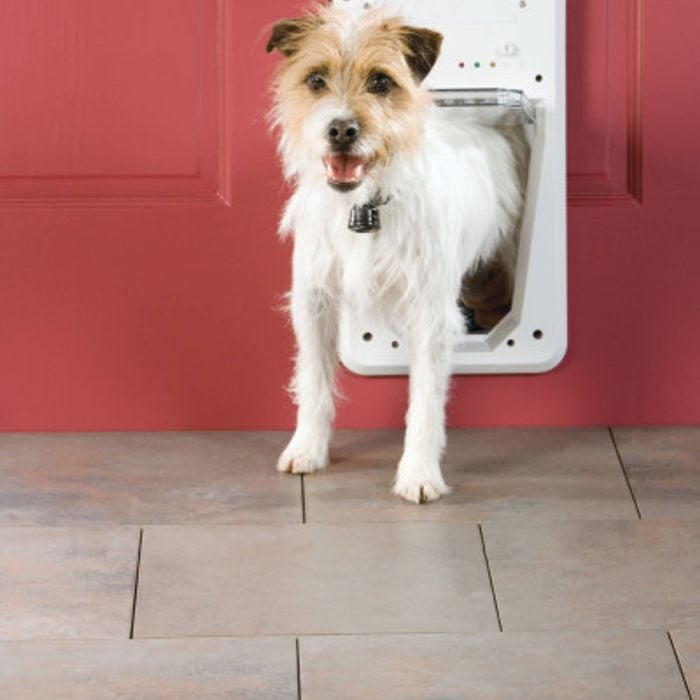 PetSafe® Dog Door Electronic Pet Door Small Bunnings Australia