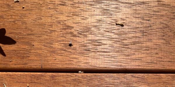 close up of a deck