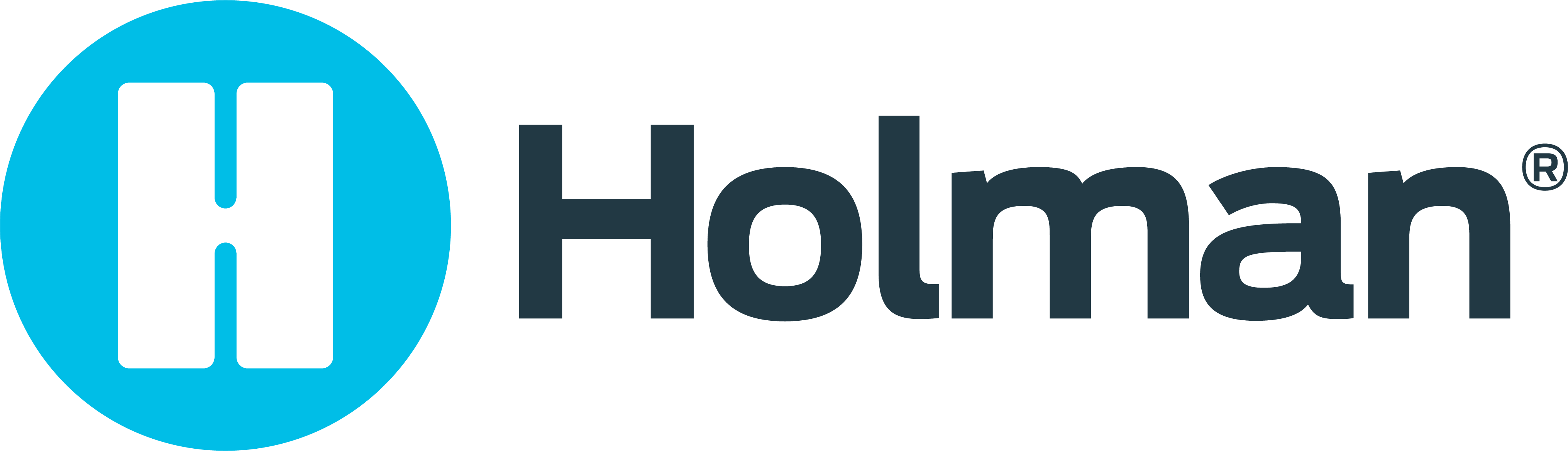 Holman Plumbing logo in blue colourway