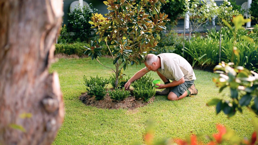 Man sprinkling plant food at the base of a tree in a garden