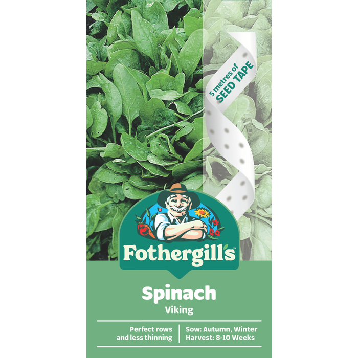 Fothergill's Spinach Viking Seed Tape