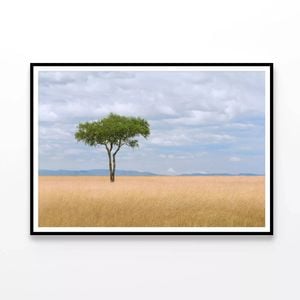 Tree in an Open Field with Sky  Print 100% Australian Made 120x90cm  (Poster)