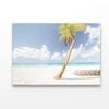 Coconut Tree in Beach  Print 100% Australian Made 150 x 100cm  (Acrylic)