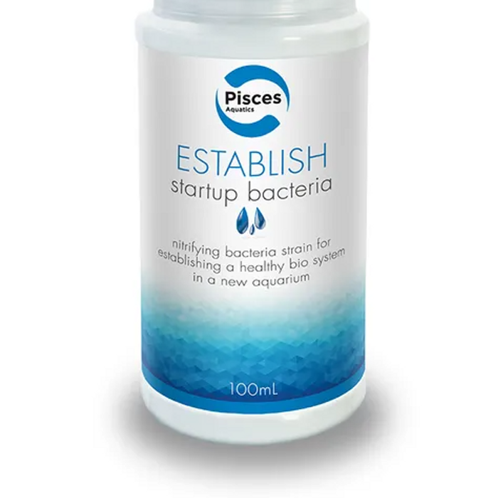 Pisces Aquatics Establish 100ml (LAB603)