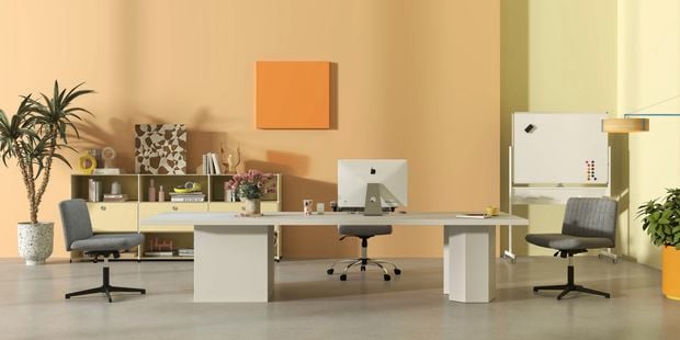 A modern office area with a desk with a monitor on it, two chairs, pot plants and a print on the wall in it.