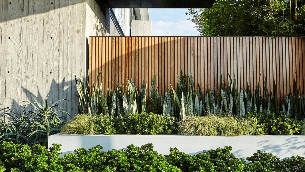 Side view of a modern house with greenery