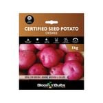 Bloomin Bulbs' 1kg Certified Seed Potato Desiree