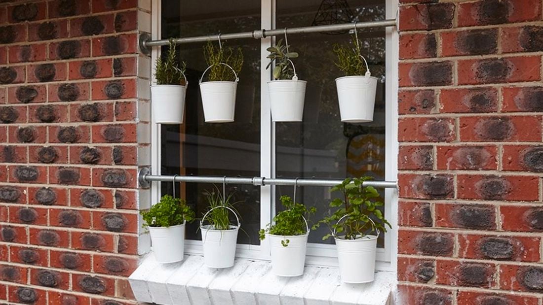 A selection of potted herbs, including parsley and thyme, in white hanging buckets outside a window.