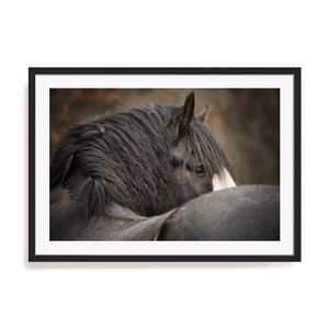 Artey | Looking Back - Framed Print - Black Frame - 70 x 100cm
