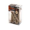Ramset 10 x 100mm WFH Zinc AnkaScrew Masonry Anchor - 10 Pack