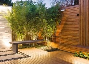 Decking area with plants.