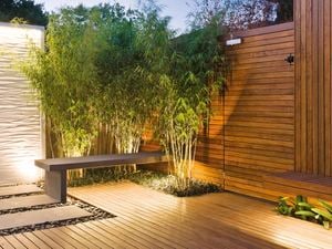 Decking area with plants.