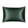 Anypillow Pillowcase 50x90cm White Pure Real Silk