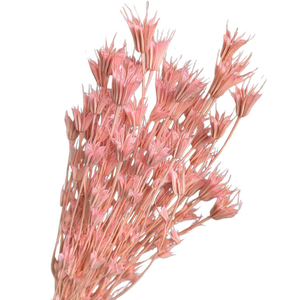 Blooms Of Joy 50cm Pink Nigella Flowers