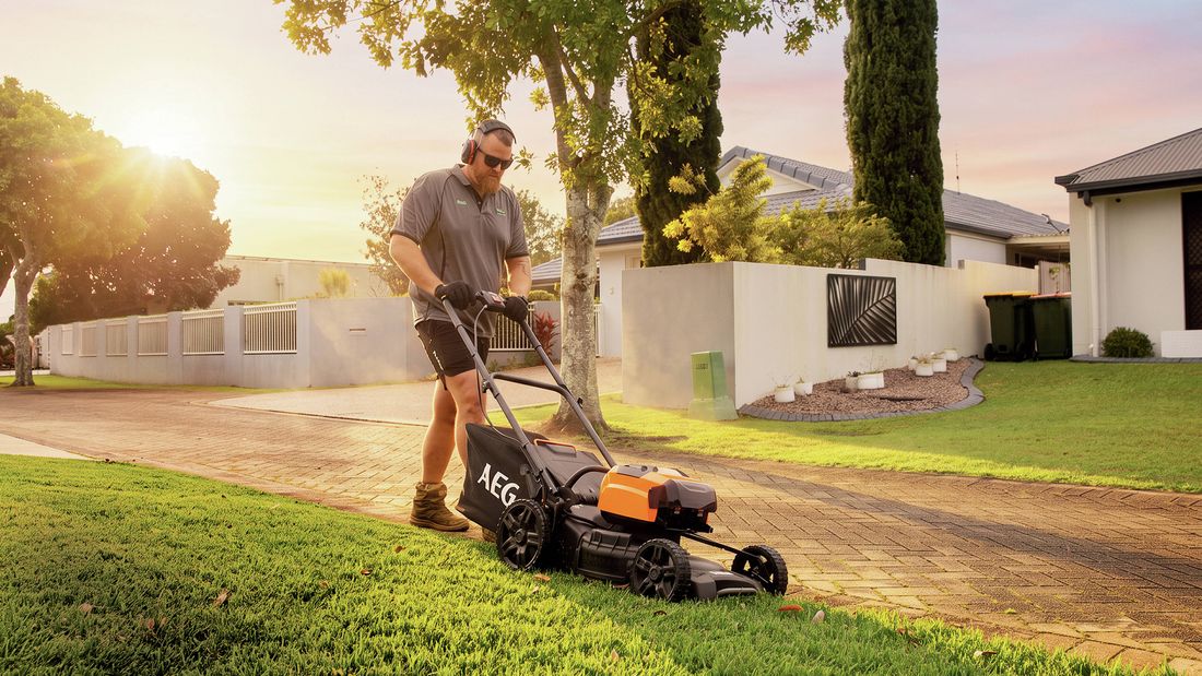 Person mowing a lawn in a well-maintained suburban garden during golden-hour light.