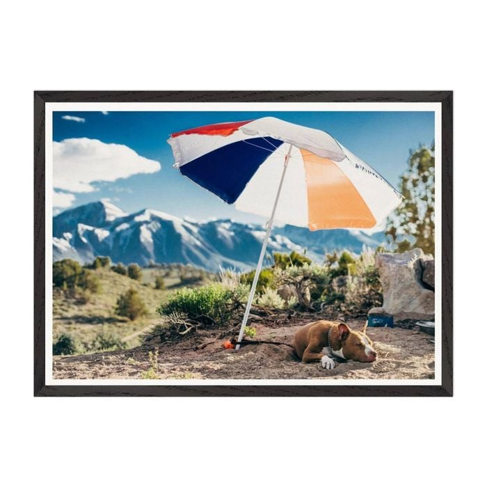 Galrie Mammoth Lakes Hot Dog Art Photography Print, Black Frame, A0 84 x 119cm (33 x 47inch)