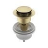 Caroma Brushed Brass 40mm Pop-Up Plug and Waste
