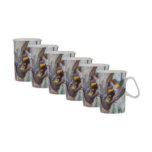 6x Ashdene Aus Small Birds Drinking Mug Cup Goulidian Finch Animal Photography