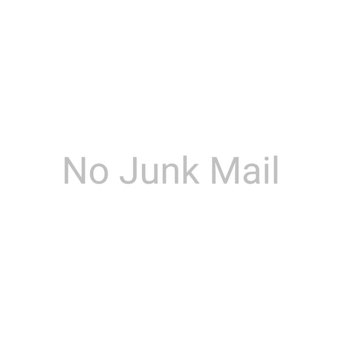 Numero Silver Small No Junk Mail Vinyl Transfer