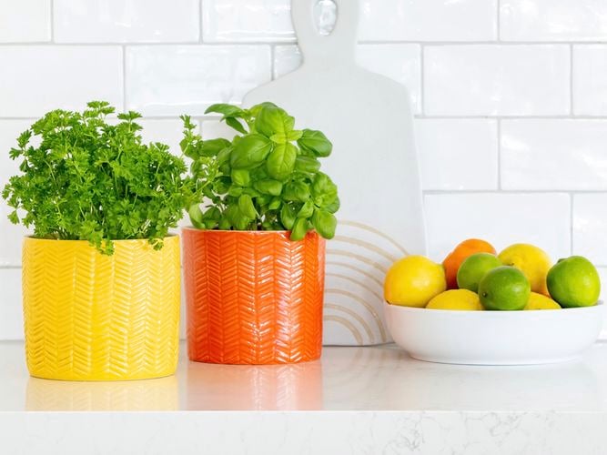 Borralheira
  13cm Yellow & Orange Herringbone Indoor Plant Pot 0428721 0428710
