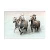 Artey | Run and Splash - Stretched Canvas - Stretched Canvas - 60 x 90cm