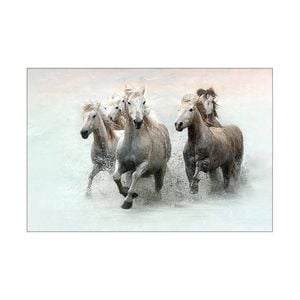Artey | Run and Splash - Stretched Canvas - Stretched Canvas - 60 x 90cm