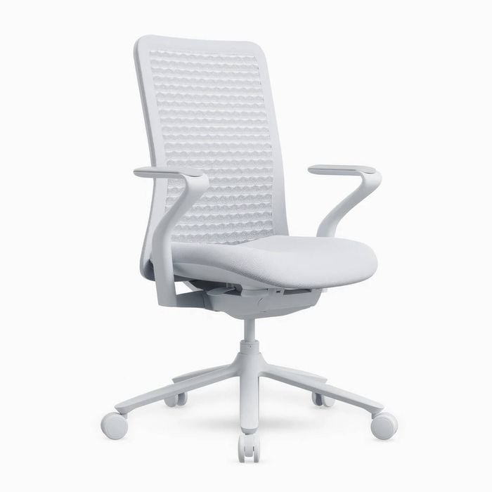 Desky Pro Ergonomic Mesh Chair - White
