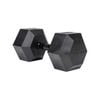 Sumo Strength Hex Dumbbell Panther Series - 40kg (single)