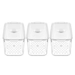 3PK Boxsweden Crystal 5.7L/33.5cm Green Saver Fresh Storer Container - Clear