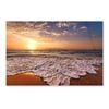 Beautiful Tropical Sun  Print 100% Australian Made 50 x 40cm  (Acrylic)