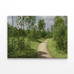 Path Surrounded By Trees  Print 100% Australian Made 150 x 100cm  (Stretched)
