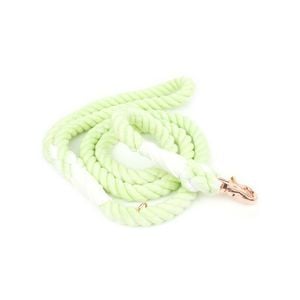 Holly & Co Kiwi Fruit 150cm Stylish Dog Rope Lead / Leash