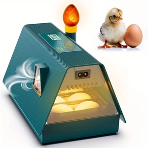 Advwin Automatic 10 Eggs Incubator with Egg Candler