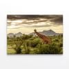 Giraffe Walking Through Grassland  Print 100% Australian Made 150 x 100cm  (Stretched)