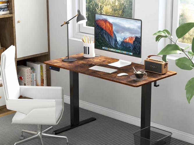 An electric standing desk with a chair in front of it, a rubbish bin at the base of it and a pot plant next to it.