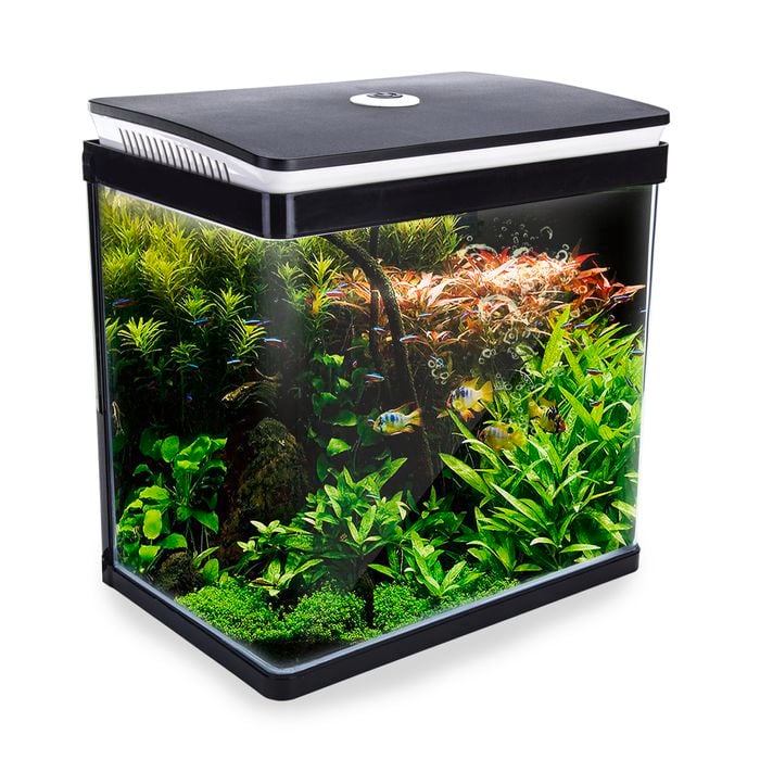 Dynamic Power Aquarium Fish Tank 30L Curved Glass RGB LED