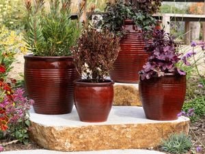 Decorate your home and garden with Northcote Pottery