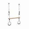 Swing Slide Climb Trapeze with Blue Rings