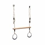 Swing Slide Climb Trapeze with Blue Rings