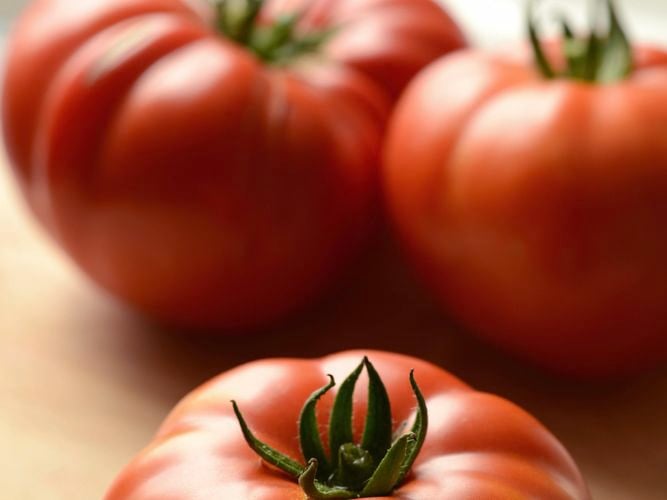 Tomato ‘Genuwine’ is cross between Costoluto Genovese and Brandy Wine tomatoes, offering exceptional home grown flavour.