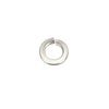 Pinnacle M6 Stainless Steel Spring Washer - 12 Pack