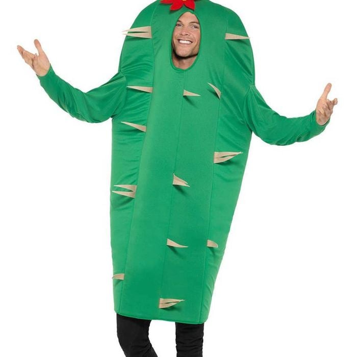 Prickly Green Cactus Adults Costume - One Size