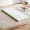 Giselle Folding Mattress 10cm Trifold Foldable Foam Green Portable Mat