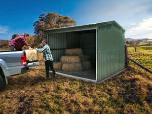 Two individuals unloading hay bales from the back of a pickup truck into a small green metal shed.