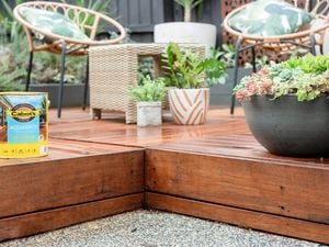 A finished, oiled deck, with several pot plants